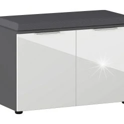 Skoskåp Smithsonian 48 Cm